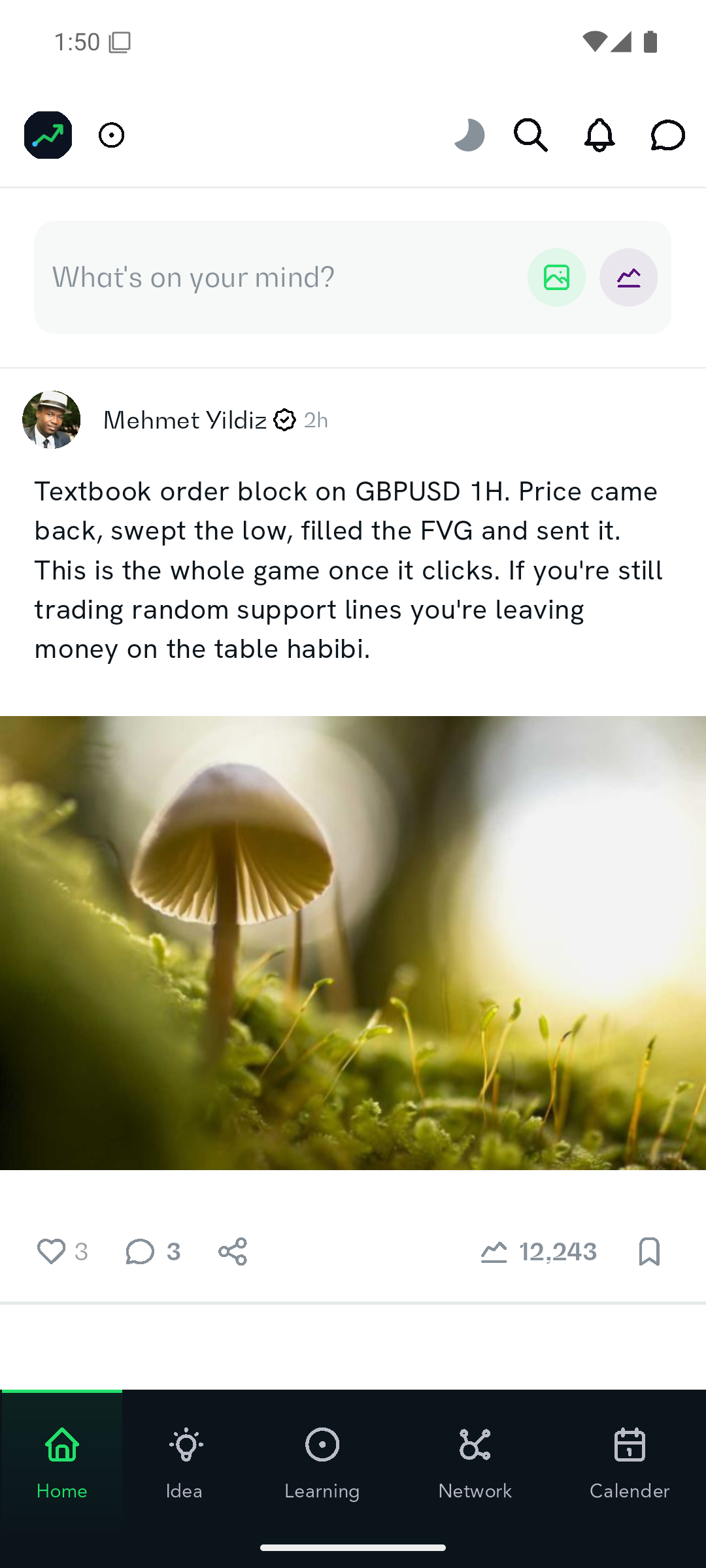 Korex social feed screen showing traders' posts and market commentary